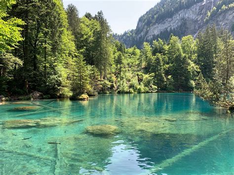 crystal clear lakes near me.